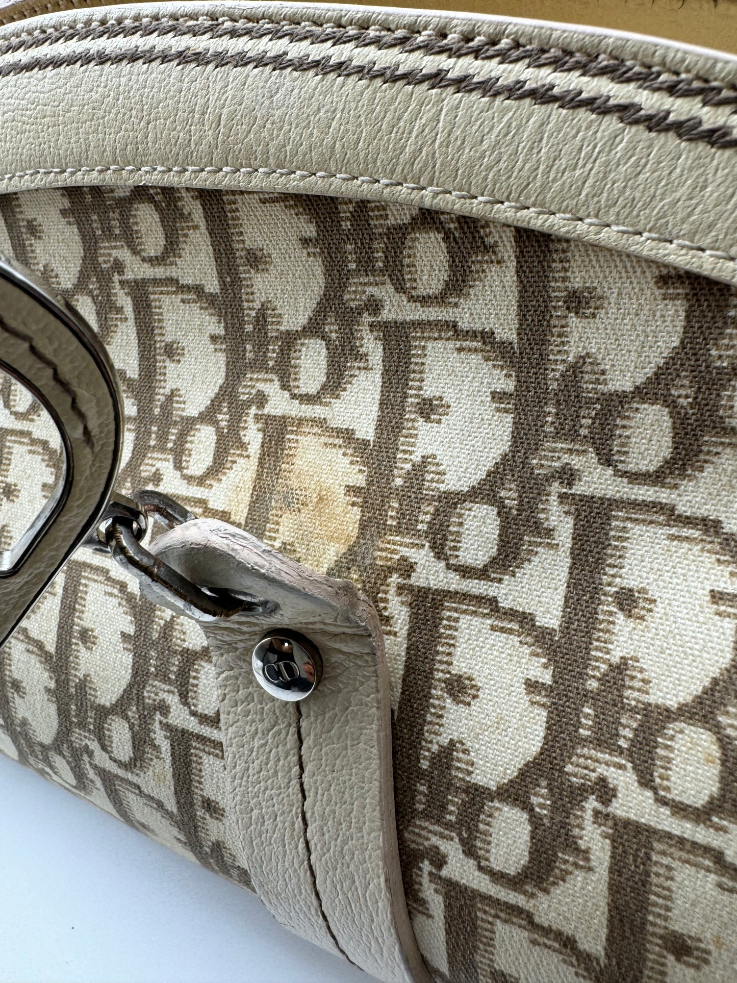 Authentic Christian Dior Beige Trotter Cloth Multi-Color Embroidered Floral Bowler Bag